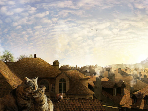 141863 (a): :1600x1200